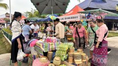 【统战巡礼】同心聚力云岭大地 同行共绘